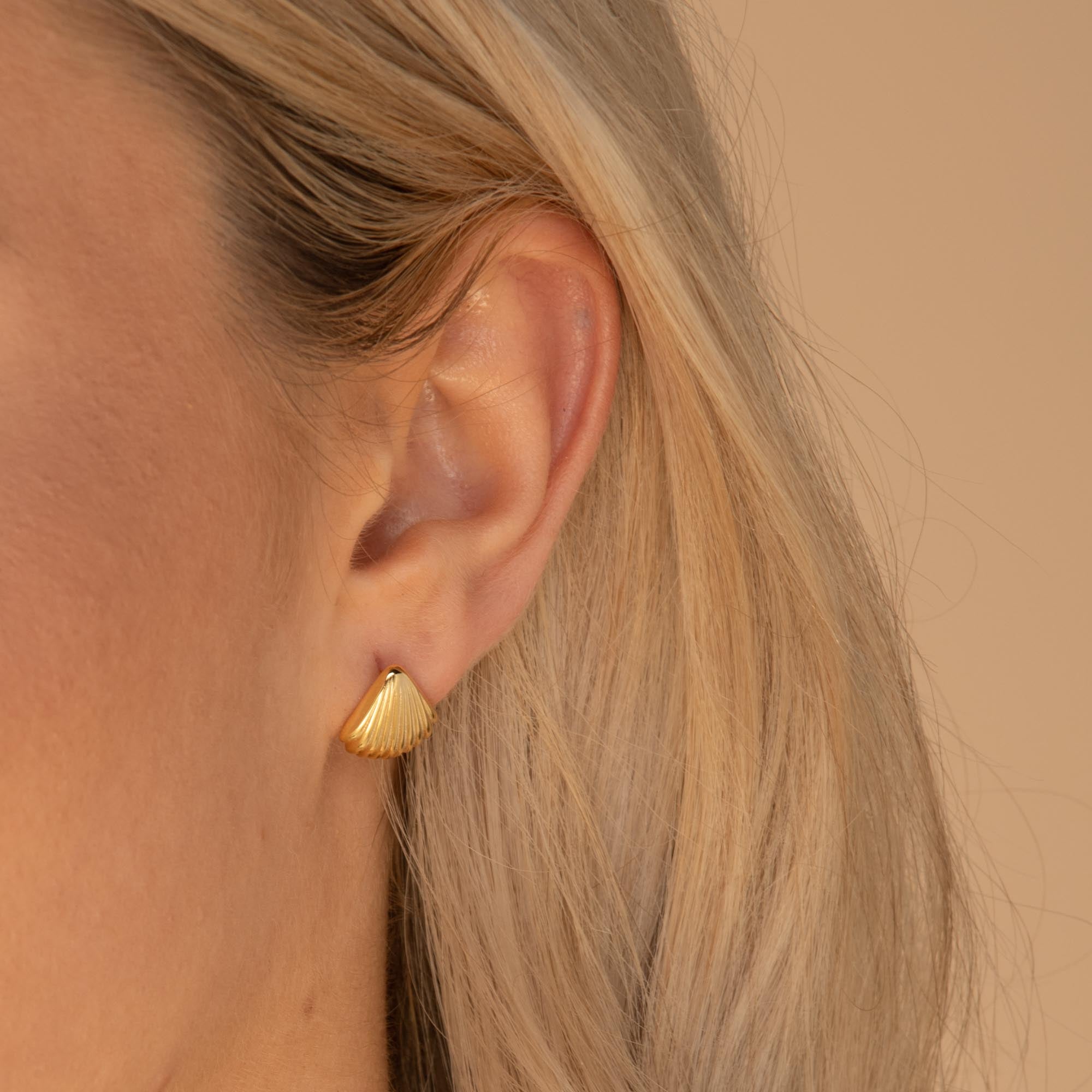 Shell Earrings Gold